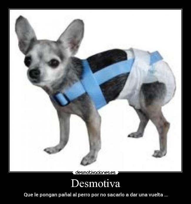 carteles 0031 desmotivaciones