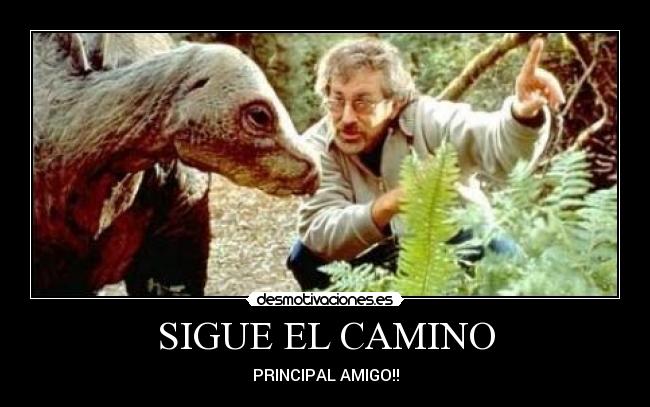 SIGUE EL CAMINO - PRINCIPAL AMIGO!!