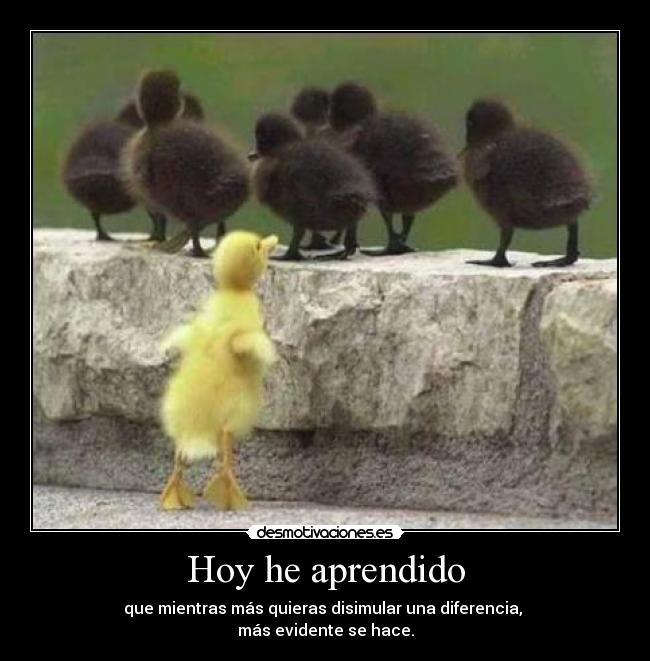 Hoy he aprendido - 