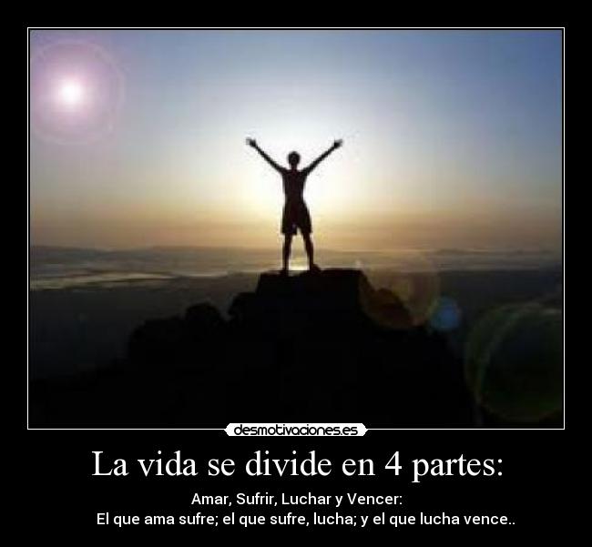 carteles vida vida desmotivaciones