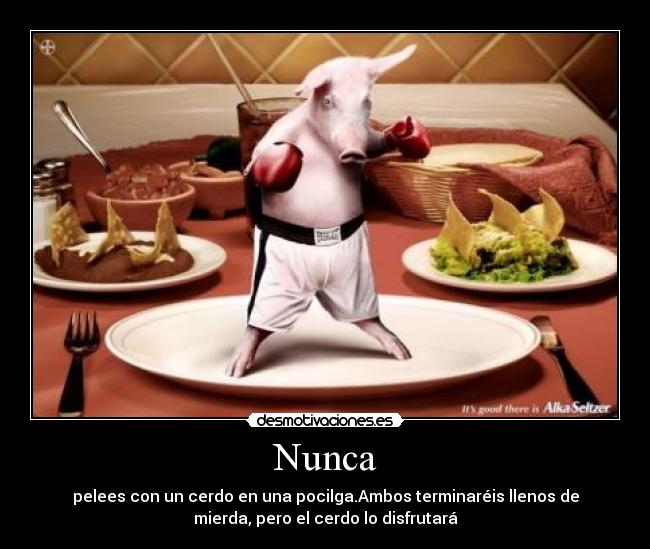 Nunca - pelees con un cerdo en una pocilga.Ambos terminaréis llenos de
mierda, pero el cerdo lo disfrutará