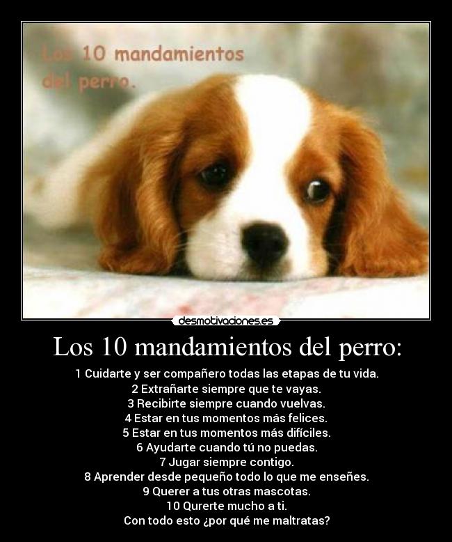 Los 10 mandamientos del perro: - 1 Cuidarte y ser compañero todas las etapas de tu vida.
2 Extrañarte siempre que te vayas.
3 Recibirte siempre cuando vuelvas.
4 Estar en tus momentos más felices.
5 Estar en tus momentos más difíciles.
6 Ayudarte cuando tú no puedas.
7 Jugar siempre contigo.
8 Aprender desde pequeño todo lo que me enseñes.
9 Querer a tus otras mascotas.
10 Qurerte mucho a ti.
Con todo esto ¿por qué me maltratas?