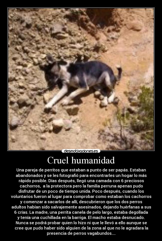Cruel humanidad -