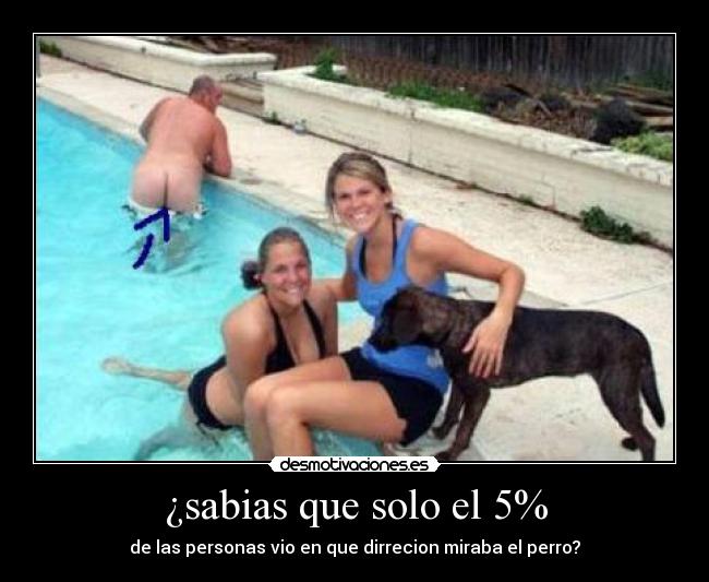 ¿sabias que solo el 5% - de las personas vio en que dirrecion miraba el perro?
