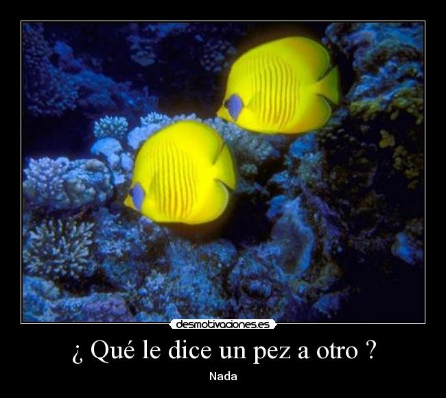 carteles chiste desmotivaciones