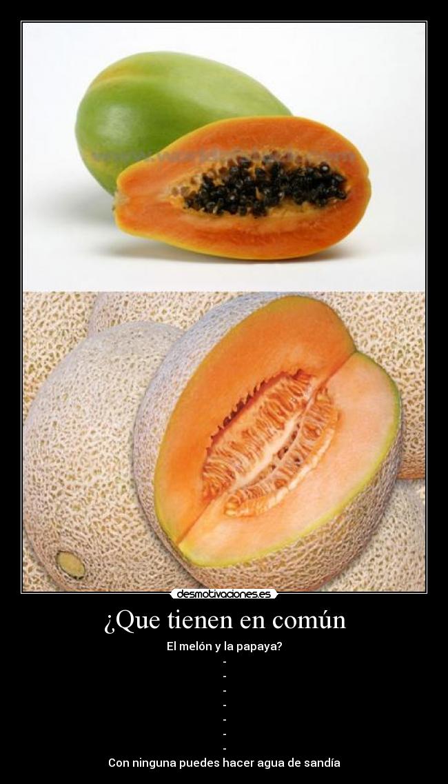 ¿Que tienen en común -