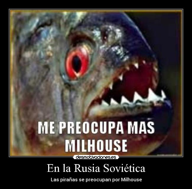 carteles las piranas preocupan por milhouse desmotivaciones