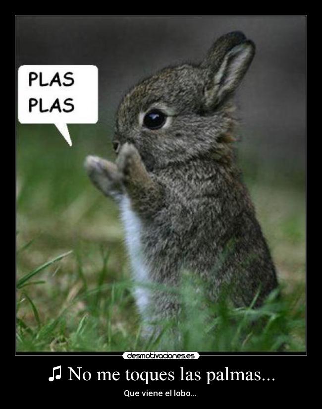 ♫ No me toques las palmas... - Que viene el lobo... ♫