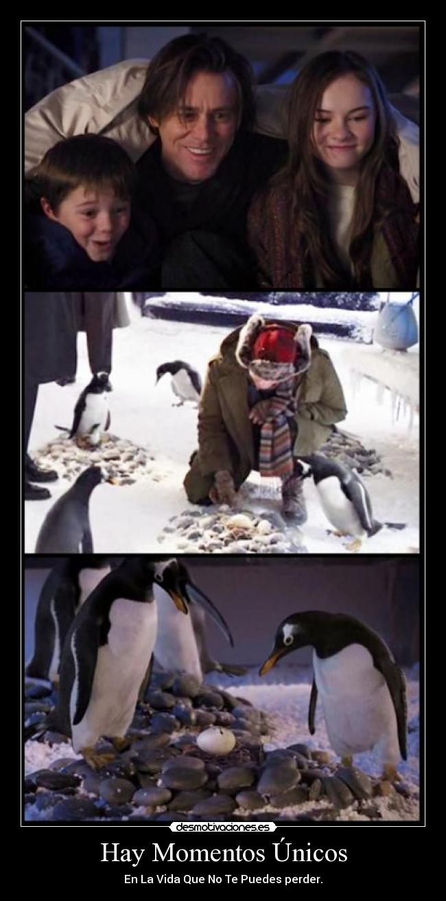 carteles pinguinosdepapa jimcarrey pinguinos aileen507 aiileen peliculas desmotivaciones