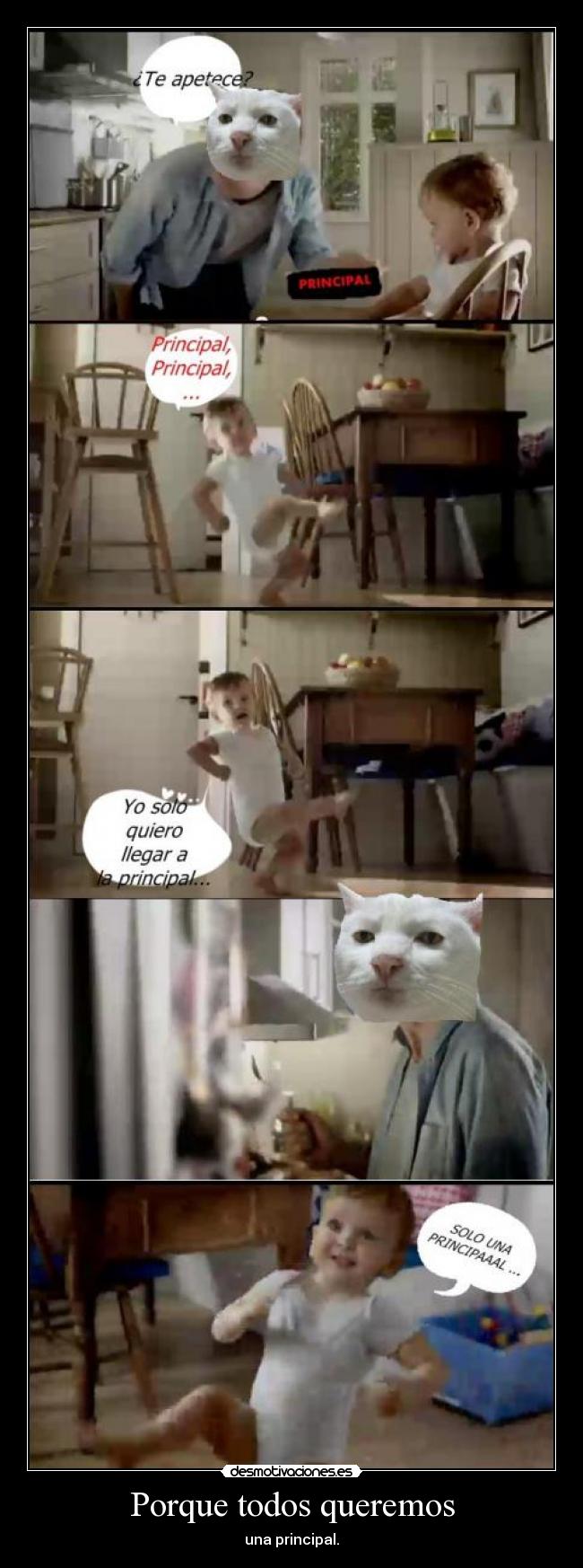 Porque todos queremos - una principal.
