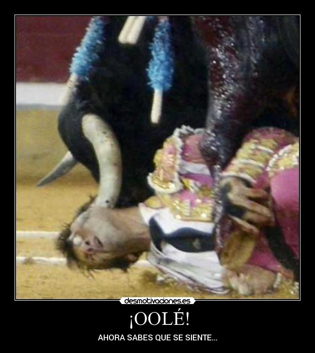 ¡OOLÉ! - AHORA SABES QUE SE SIENTE...