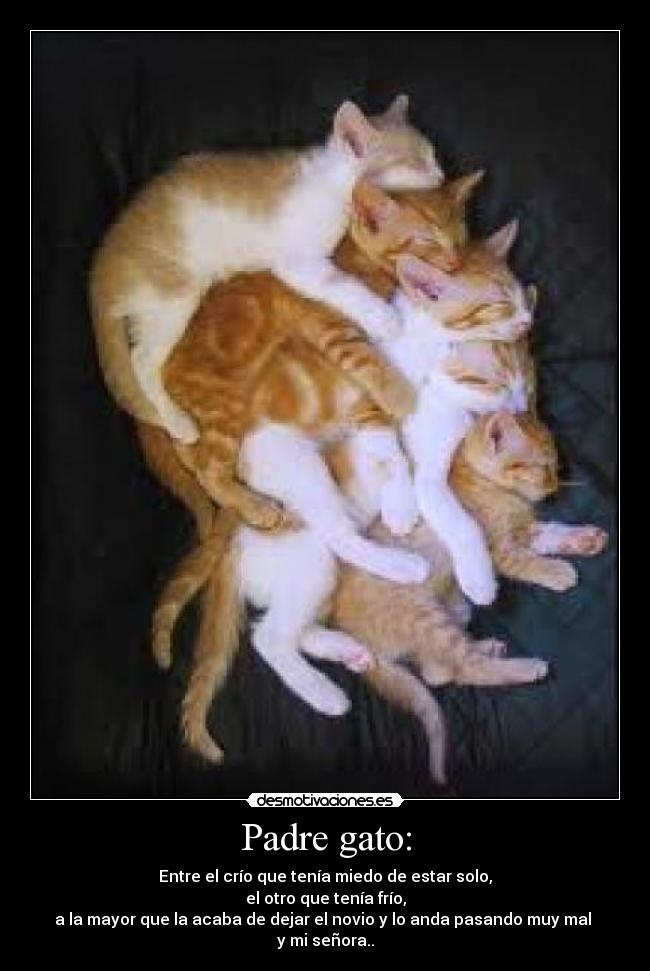 Padre gato: - Entre el crío que tenía miedo de estar solo,
el otro que tenía frío,
a la mayor que la acaba de dejar el novio y lo anda pasando muy mal
y mi señora..