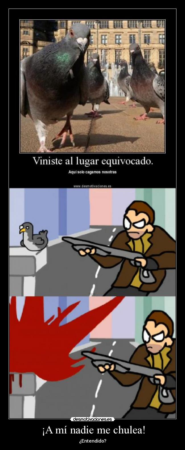 ¡A mí nadie me chulea! - ¿Entendido?