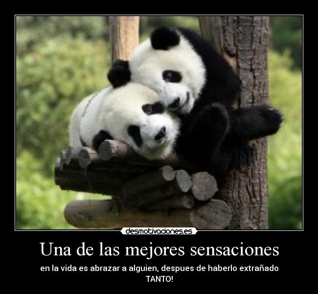 carteles rosacastillo desmotivaciones