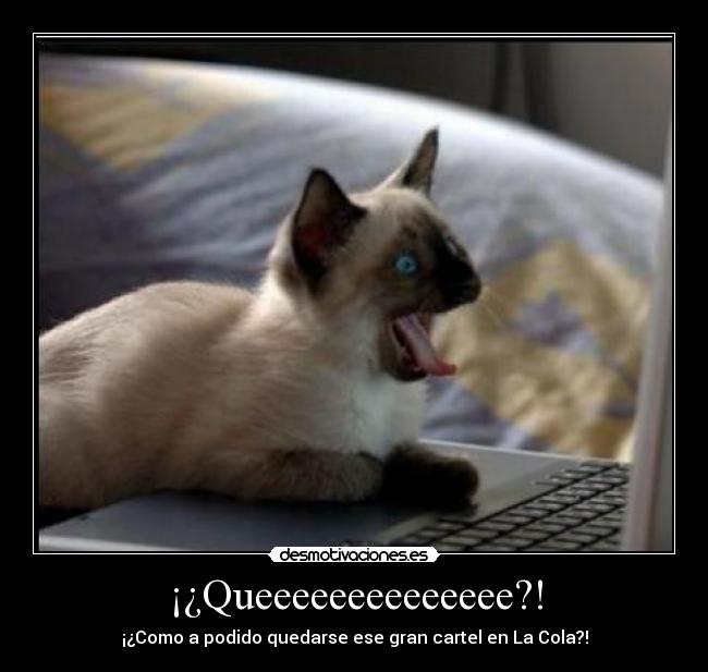 ¡¿Queeeeeeeeeeeeee?! - 