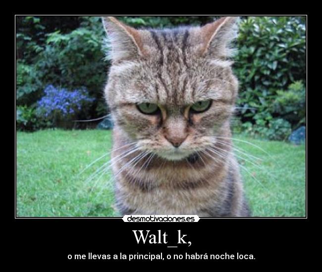 Walt_k, - o me llevas a la principal, o no habrá noche loca.