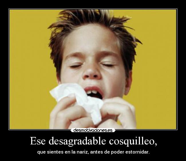 Ese desagradable cosquilleo, - que sientes en la nariz, antes de poder estornidar.