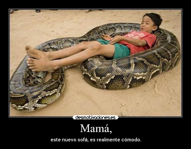 Mamá, - este nuevo sofá, es realmente cómodo.