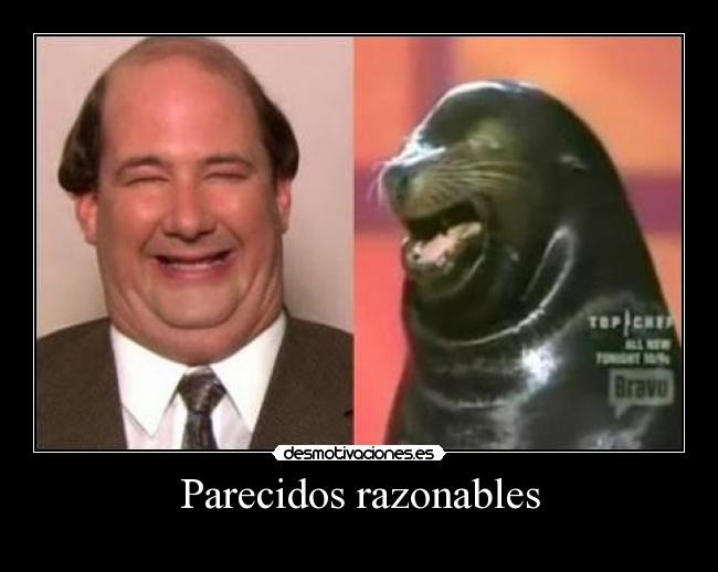 Parecidos razonables -