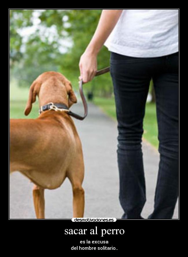 sacar al perro - 