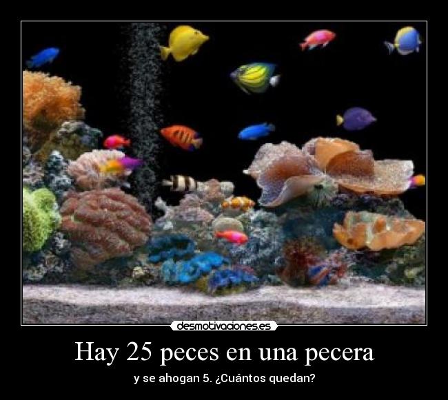 Hay 25 peces en una pecera - 