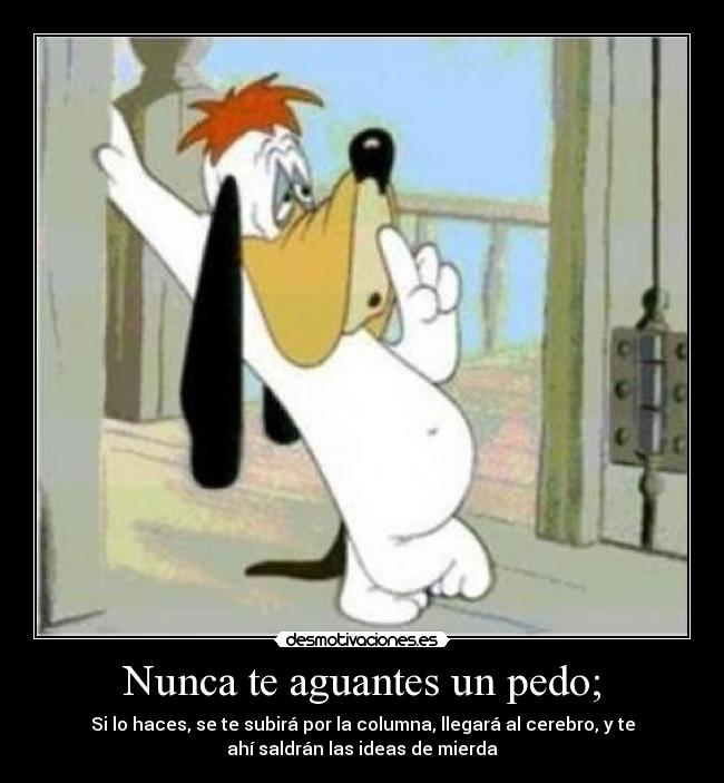 Nunca te aguantes un pedo; - Si lo haces, se te subirá por la columna, llegará al cerebro, y te
ahí saldrán las ideas de mierda