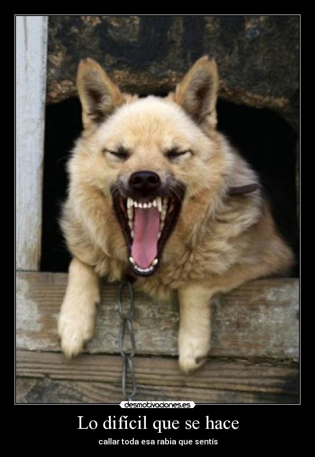 Lo difícil que se hace -