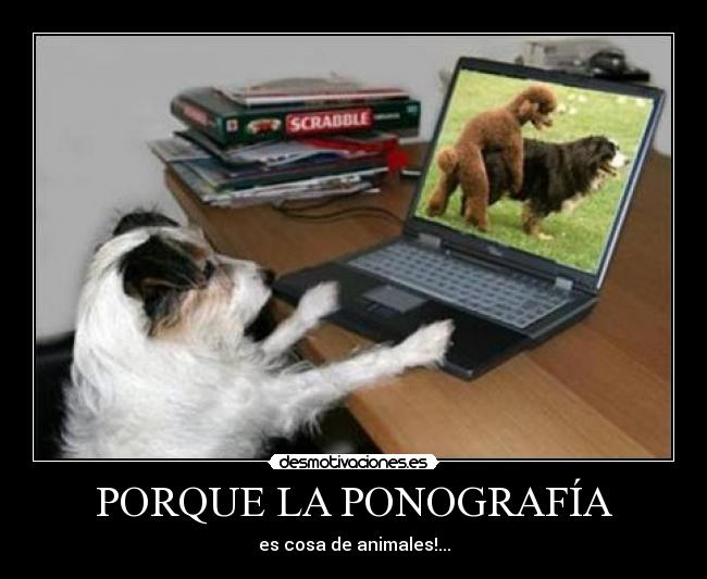 carteles carlos peroza desmotivaciones