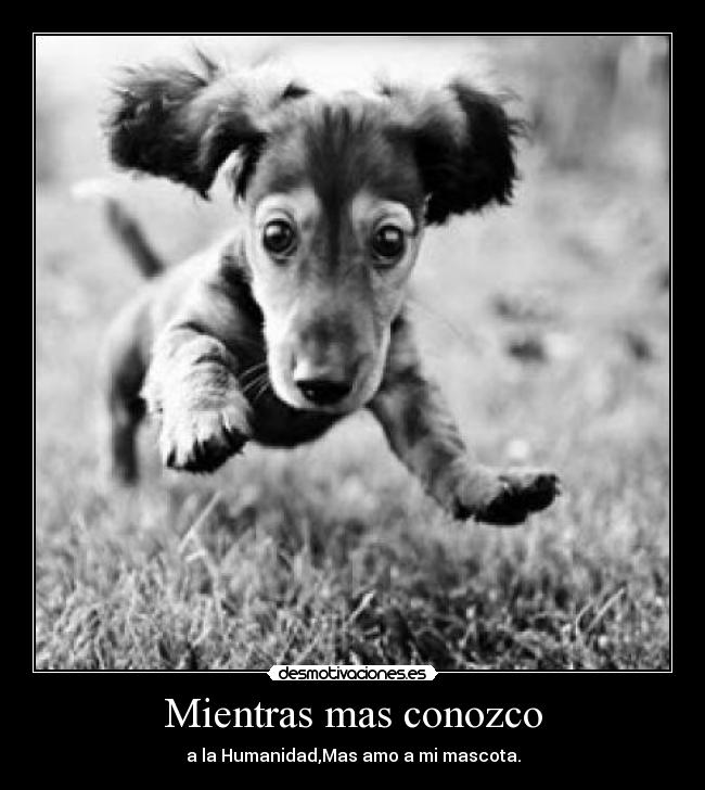 Mientras mas conozco -