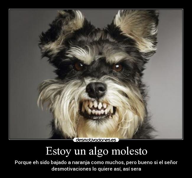 Estoy un algo molesto -