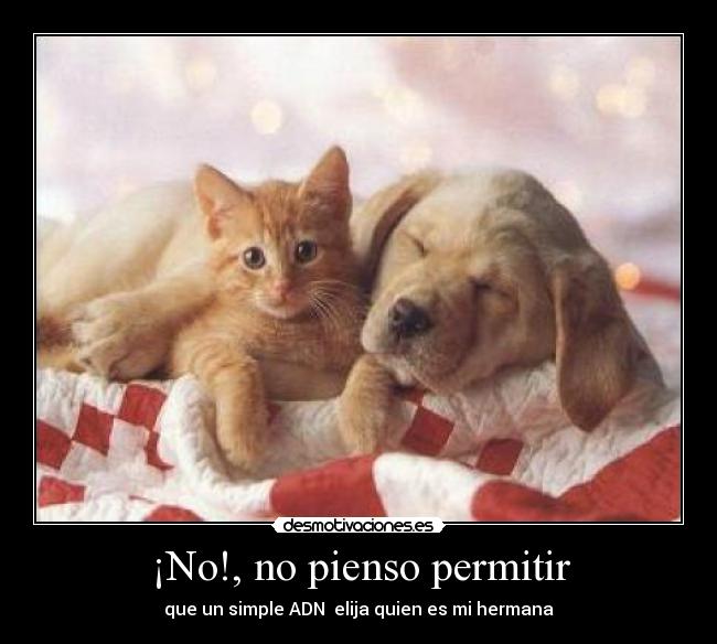 ¡No!, no pienso permitir - que un simple ADN elija quien es mi hermana