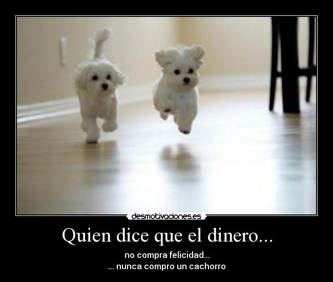 Quien dice que el dinero... - no compra felicidad...
... nunca compro un cachorro