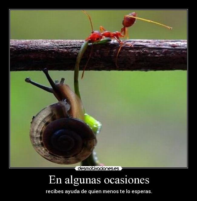 En algunas ocasiones - 