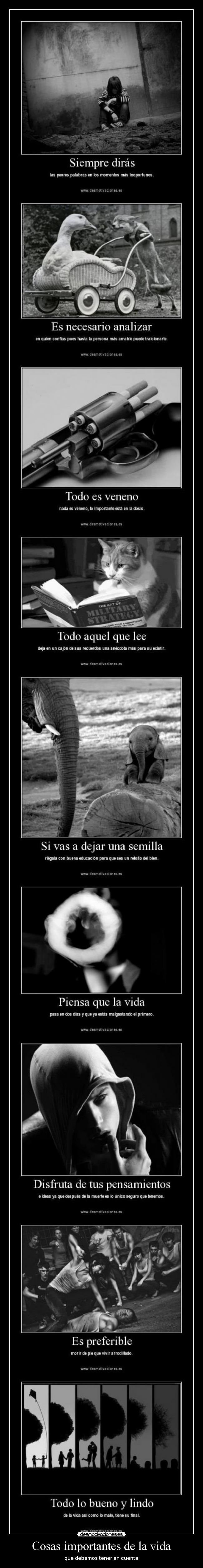 Cosas importantes de la vida - 