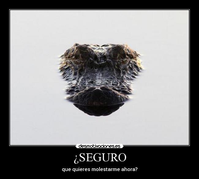 ¿SEGURO -
