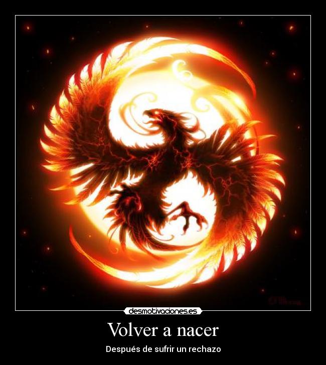 carteles aqui alla desmotivaciones