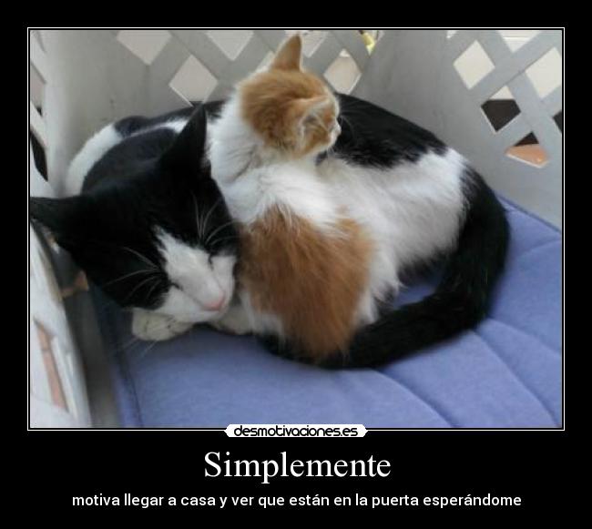 Simplemente - motiva llegar a casa y ver que están en la puerta esperándome