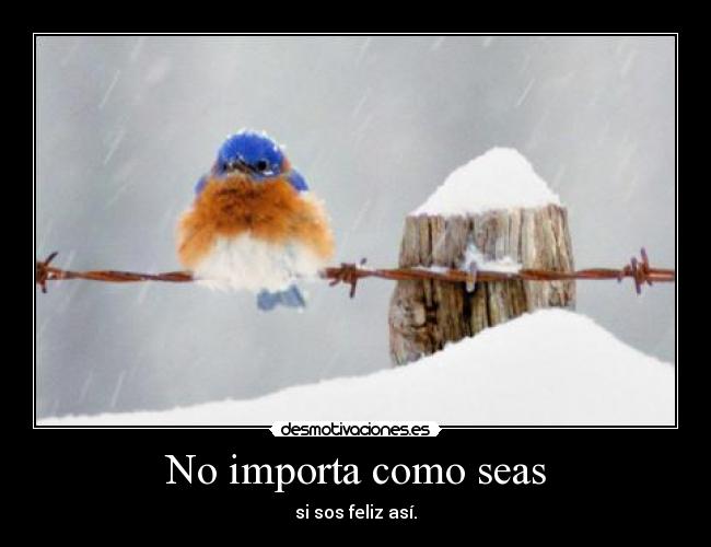 No importa como seas - si sos feliz así.