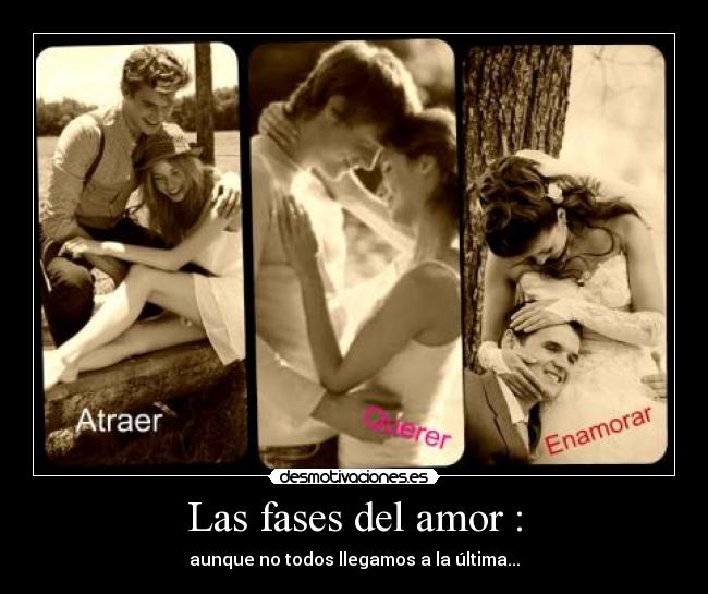 Las fases del amor : -