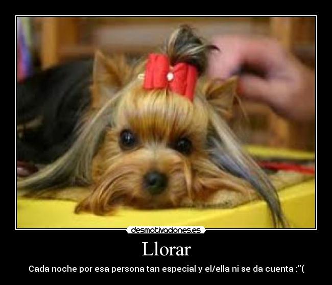 Llorar - Cada noche por esa persona tan especial y el/ella ni se da cuenta :(