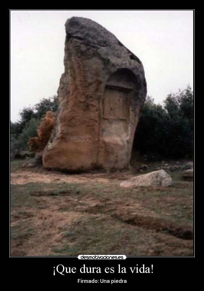 carteles vida piedra desmotivaciones