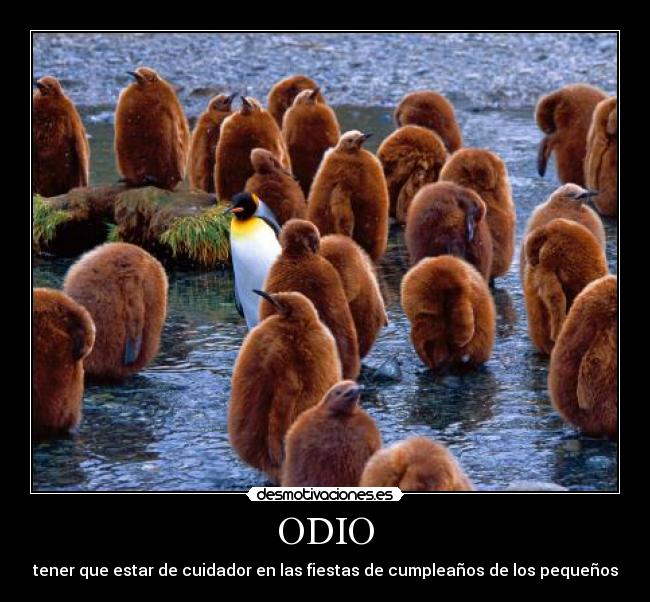 ODIO -