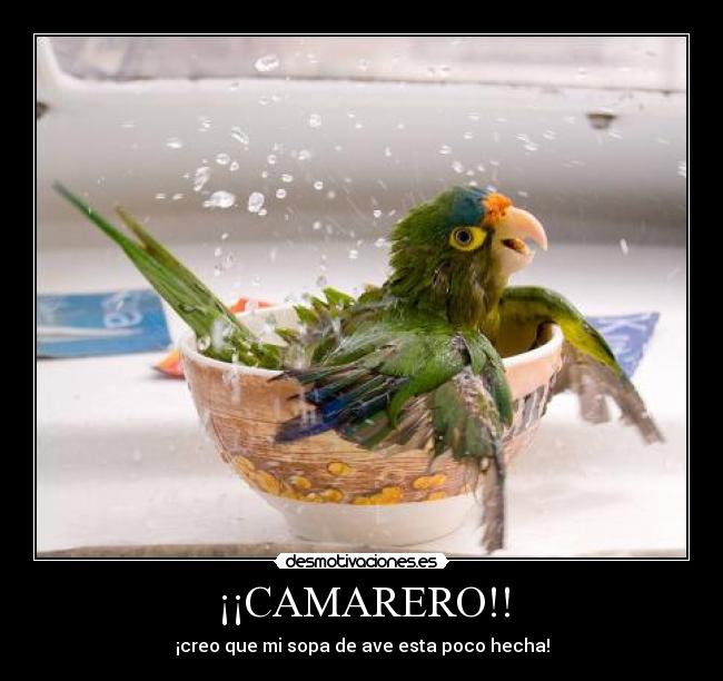 ¡¡CAMARERO!! -