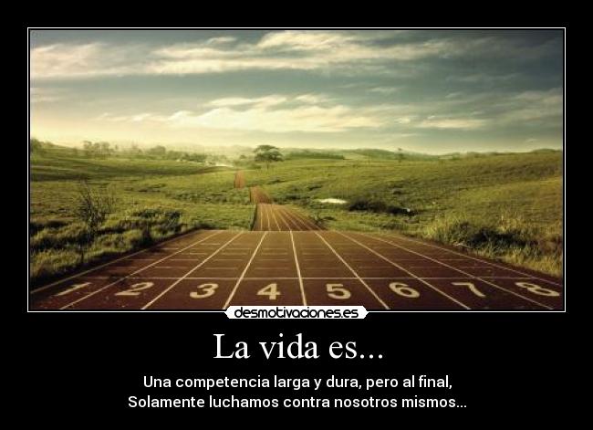 La vida es... -