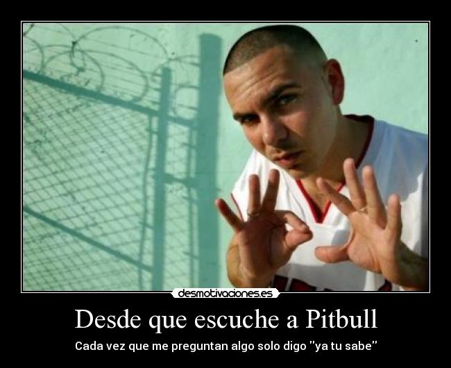 Desde que escuche a Pitbull -