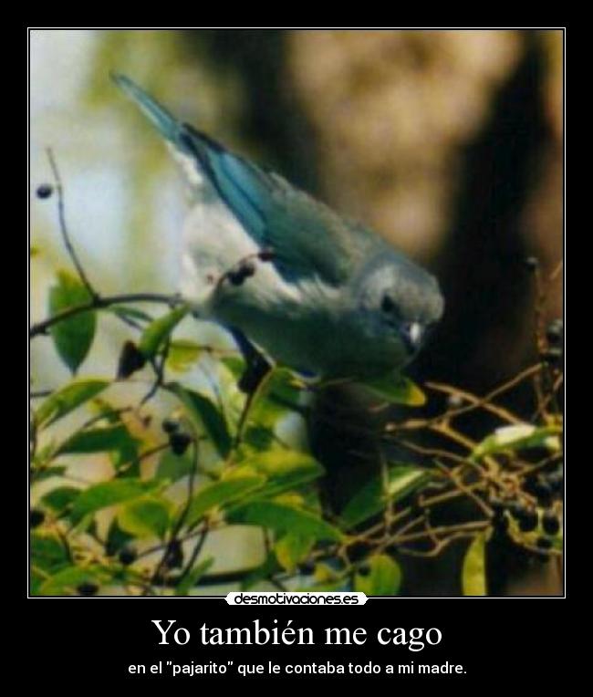 Yo también me cago -