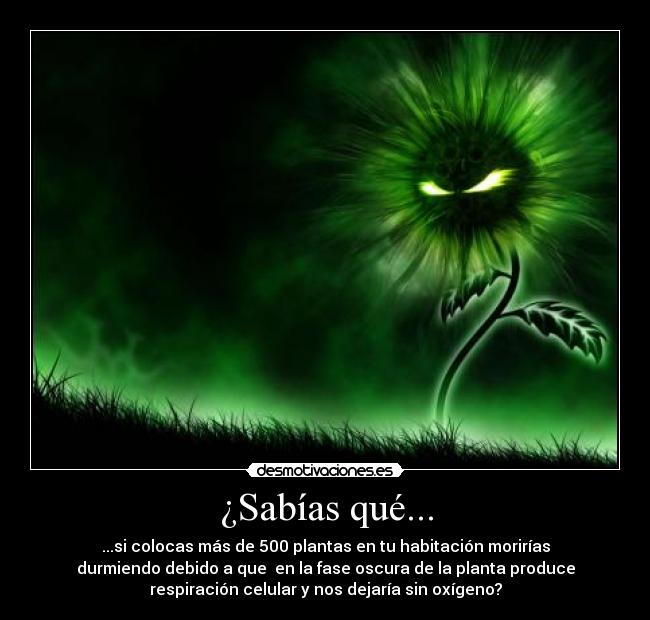 ¿Sabías qué... - ...si colocas más de 500 plantas en tu habitación morirías
durmiendo debido a que en la fase oscura de la planta produce
respiración celular y nos dejaría sin oxígeno?