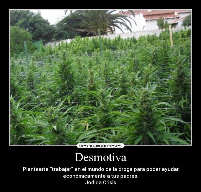 Desmotiva - Plantearte trabajar en el mundo de la droga para poder ayudar
económicamente a tus padres.
Jodida Crisis