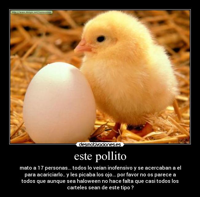 este pollito - mato a 17 personas... todos lo veían inofensivo y se acercaban a el
para acariciarlo.. y les picaba los ojo... por favor no os parece a
todos que aunque sea haloween no hace falta que casi todos los
carteles sean de este tipo ?