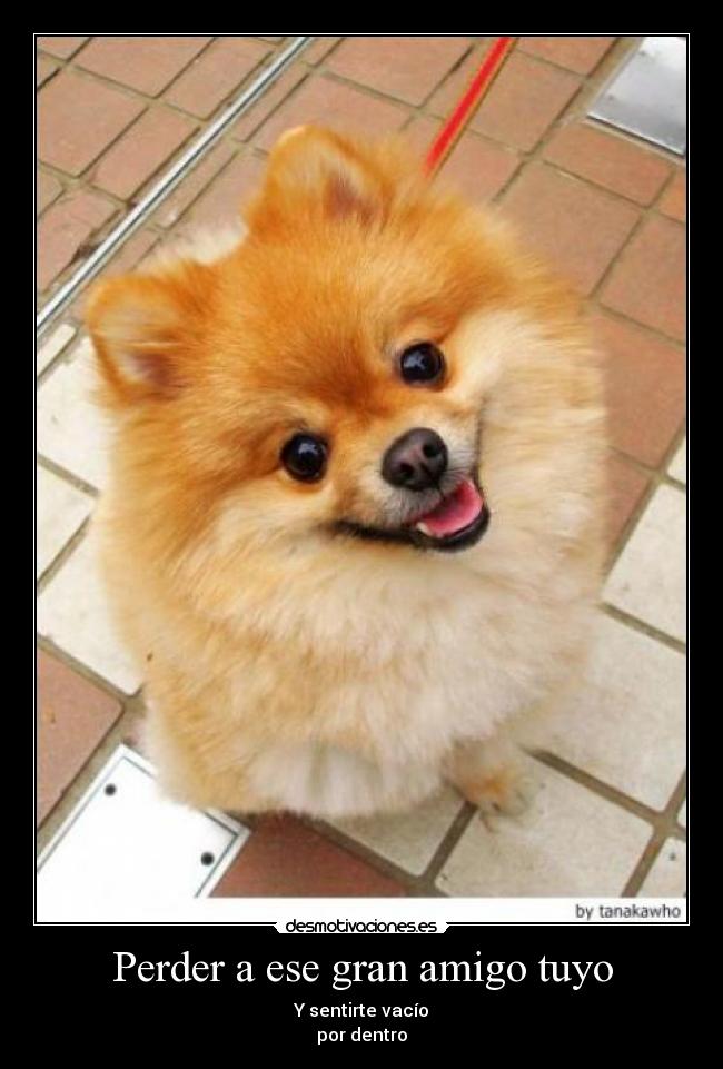 Perder a ese gran amigo tuyo -